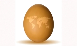 Egg Producers worldwide trust BinTrac